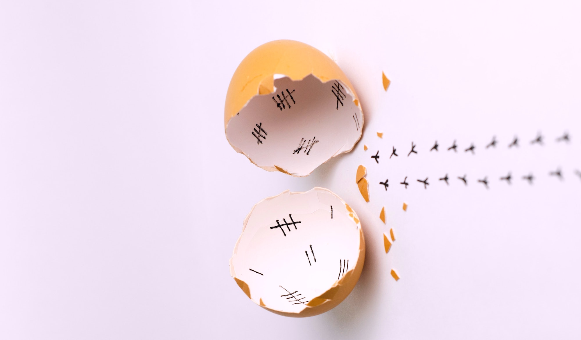 Acupuncture, Investing In Your Fertility Triada Health Ottawa