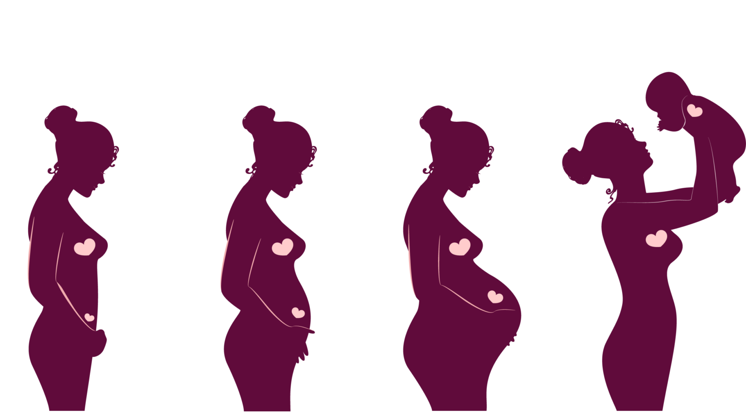 Acupuncture During Pregnancy The Trimesters Triada Health Ottawa