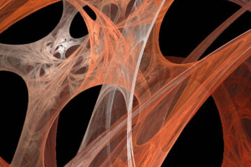 microscope image of web like muscle facia