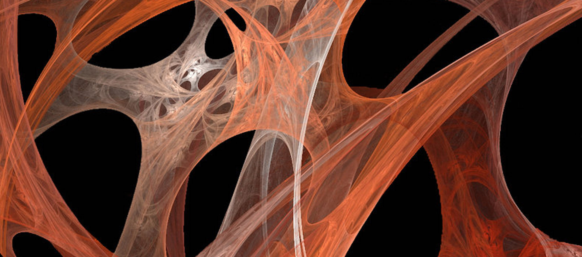 Fascial Tissue and Why It's Important Triada Health Ottawa