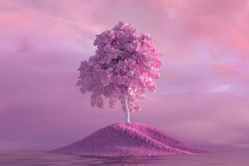 Manual lymphatic drainage massage for lipedema supporting lymphatic circulation and tissue health at Triada Health Ottawa